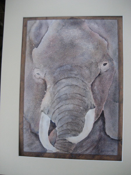 Elephant